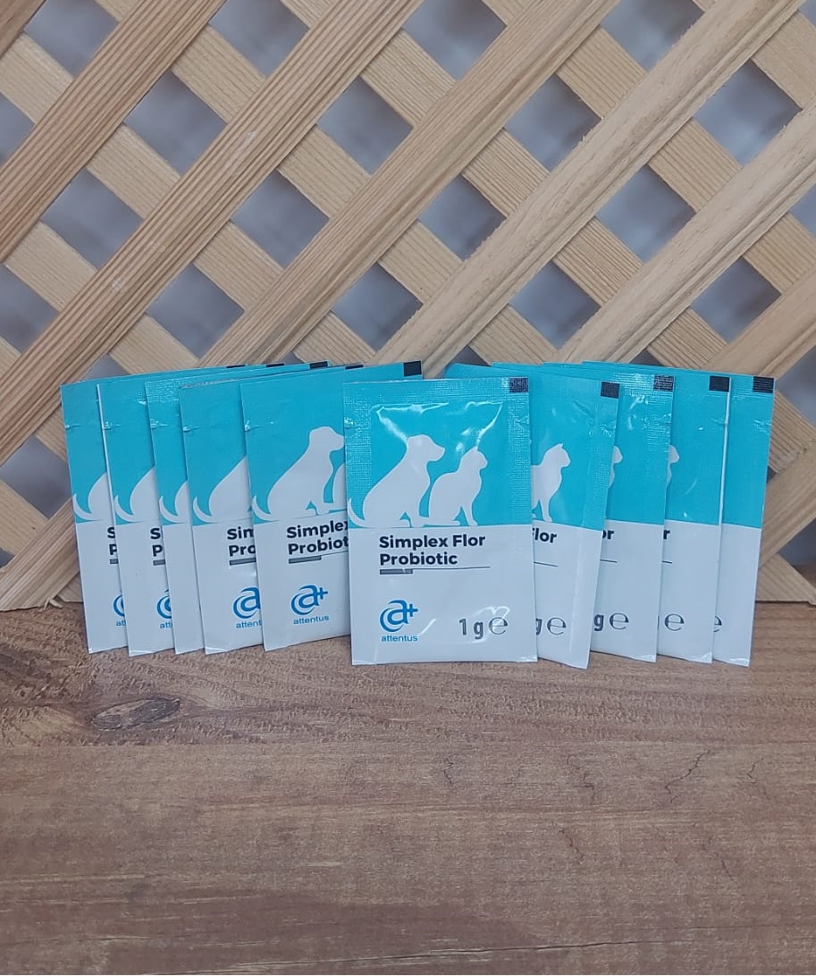 Simplex Flor Probiyotik (10 şase) Attentus